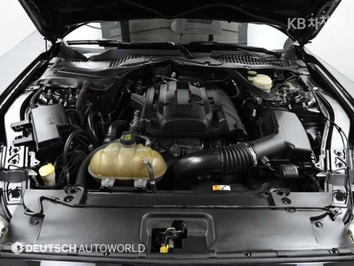 Ford Mustang Coupe 7