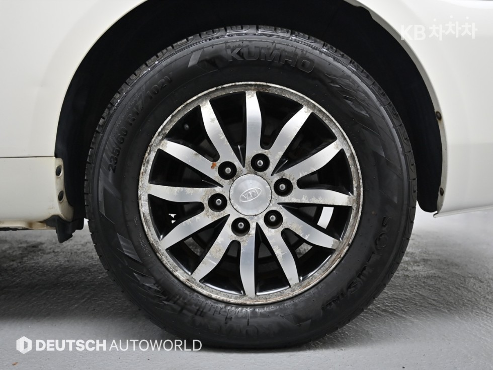 2010 - kia carnival