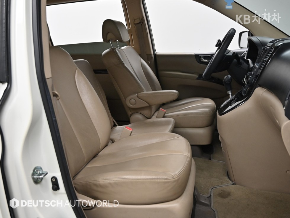 2010 - kia carnival
