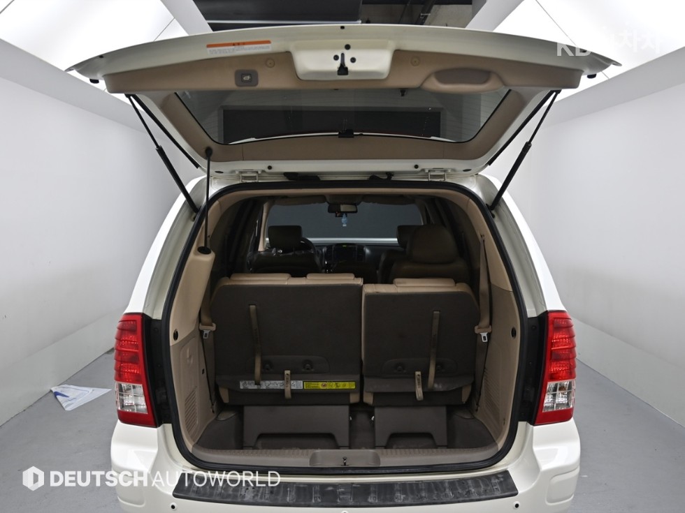 2010 - kia carnival