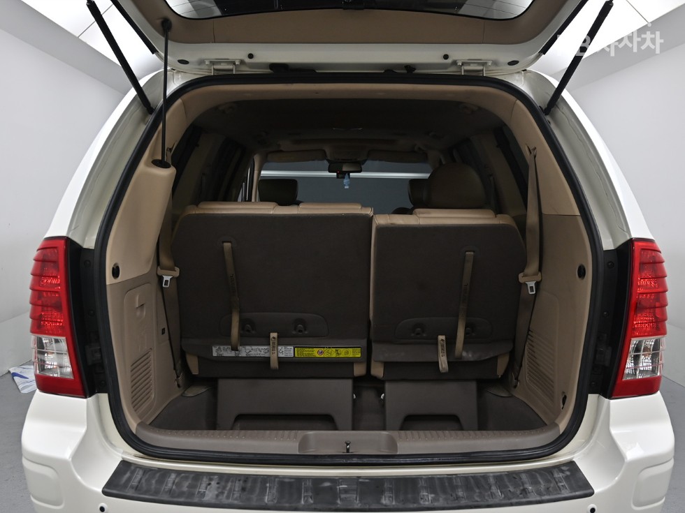 2010 - kia carnival