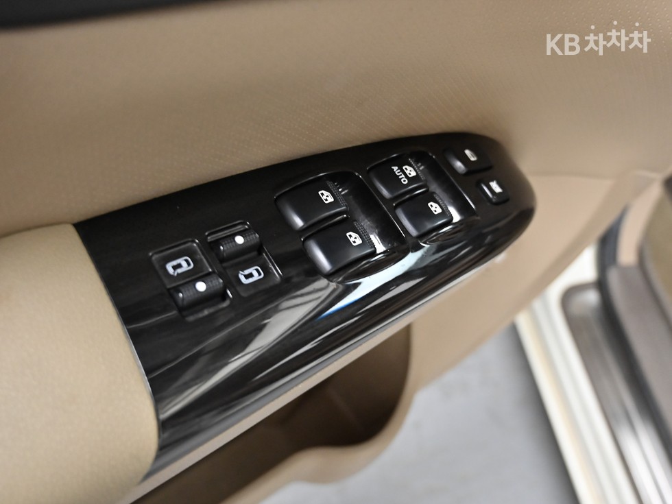 2010 - kia carnival
