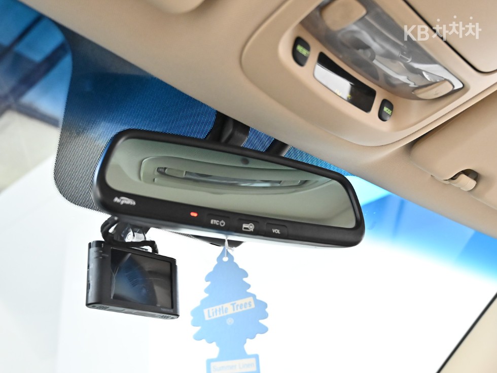 2010 - kia carnival