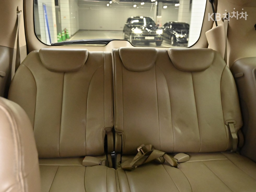 2010 - kia carnival