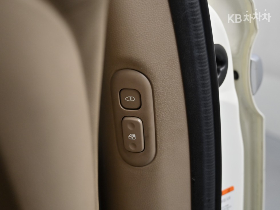 2010 - kia carnival