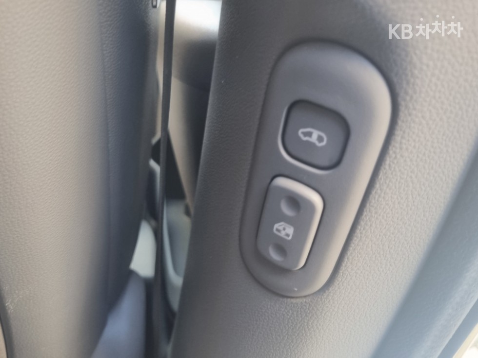 2011 - kia carnival