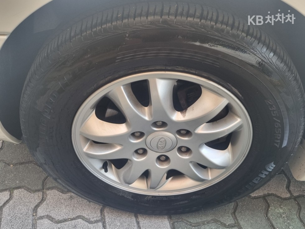 2011 - kia carnival