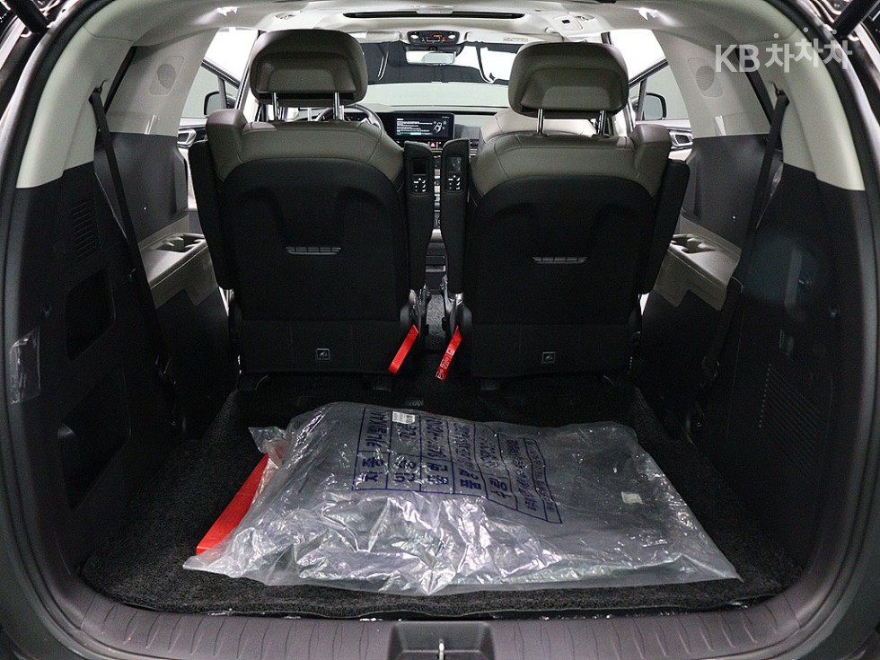 2024 - kia carnival