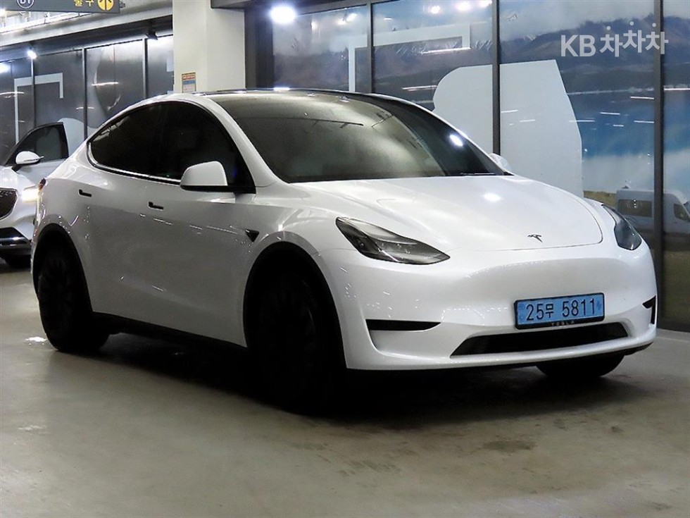 Tesla Model Y RWD 기본형 - фото 1