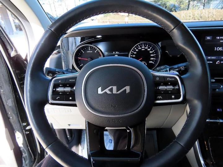 Kia Carnival D2.2 Noblesse 10