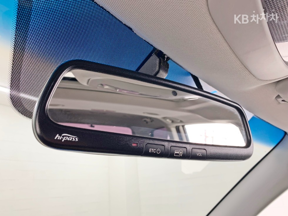 2013 - kia carnival