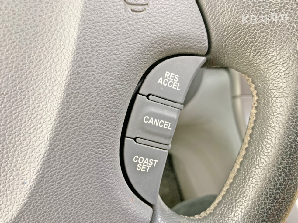 2013 - kia carnival