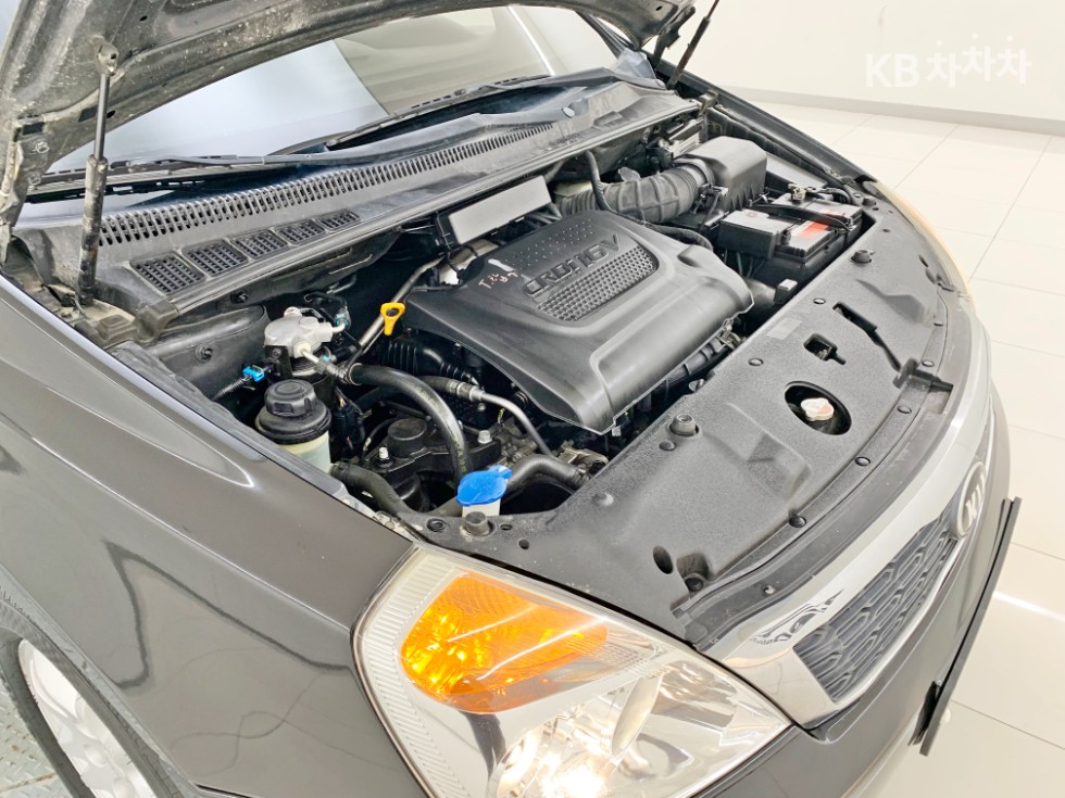 2013 - kia carnival