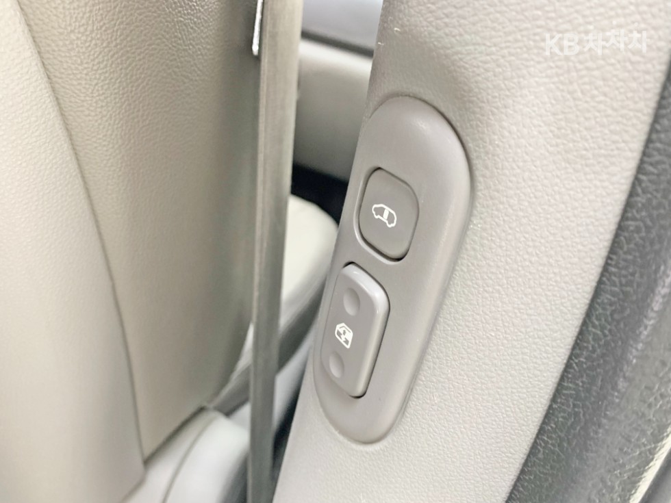 2013 - kia carnival