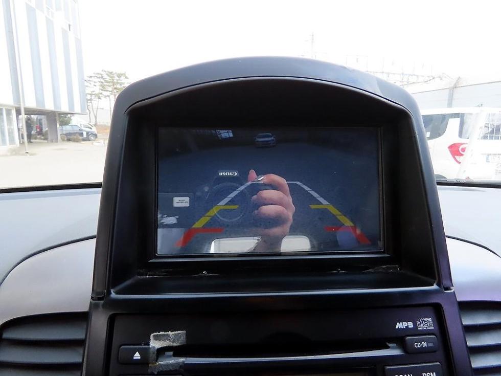 2010 - kia carnival