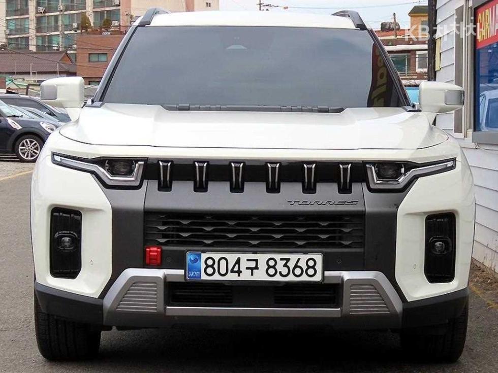 سانغ يونغ توريس