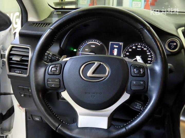 Lexus NX 300h Executive 9