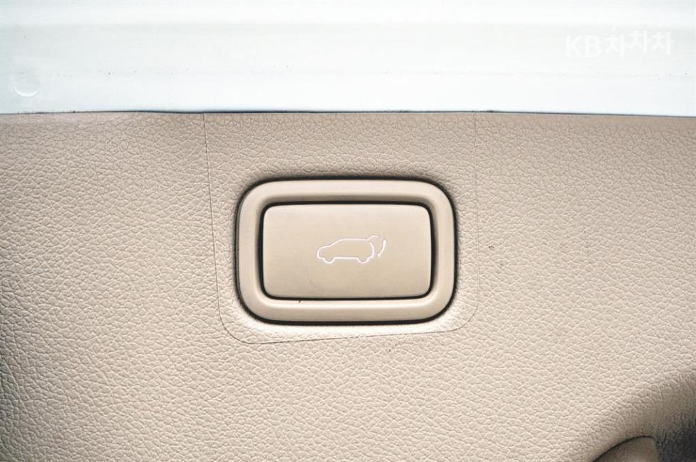 2019 - kia carnival