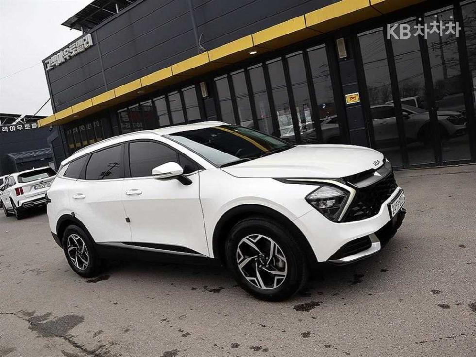 2023 - kia sportage