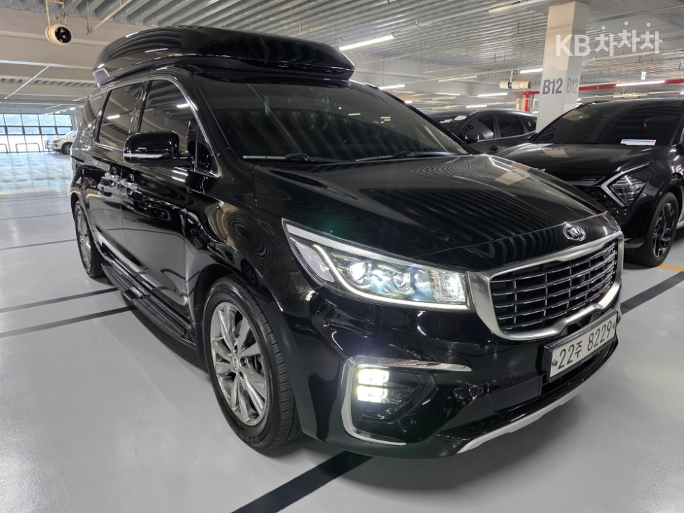 2019 - kia carnival