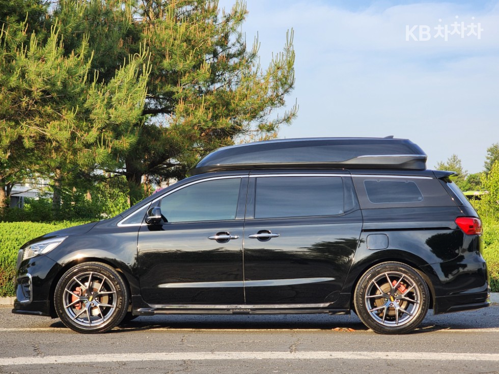 2019 - kia carnival
