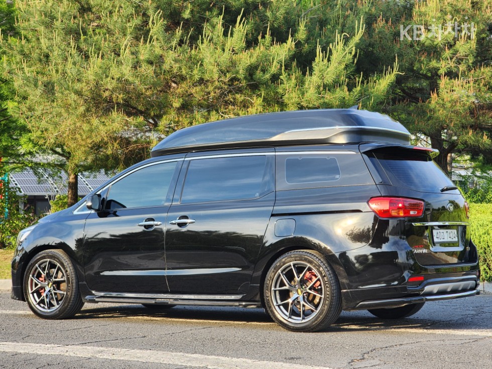 2019 - kia carnival