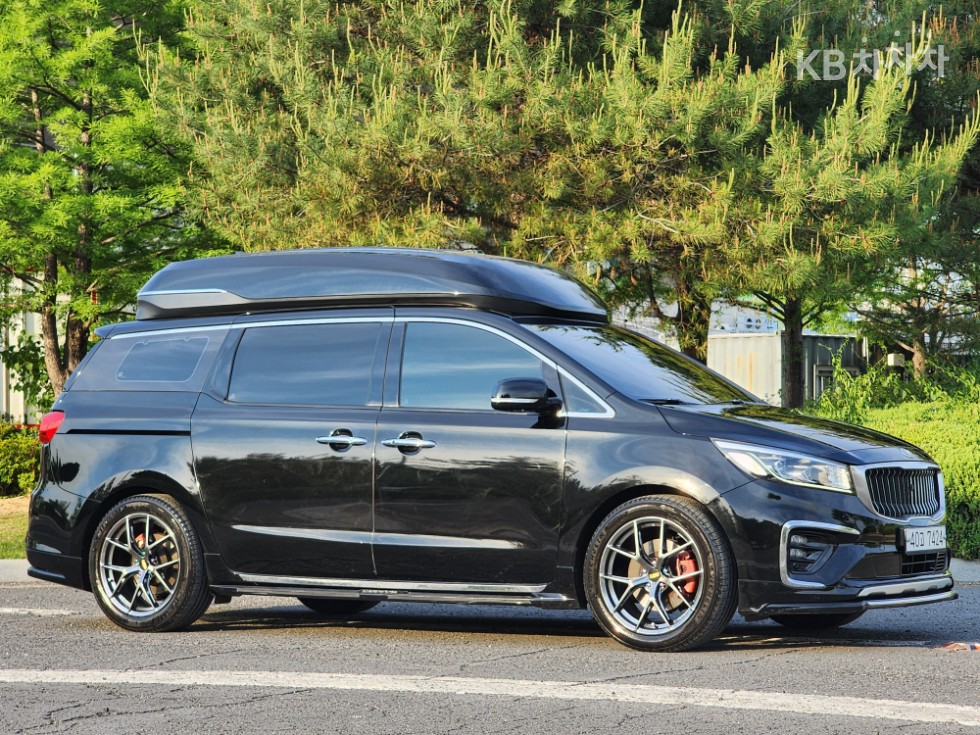 2019 - kia carnival