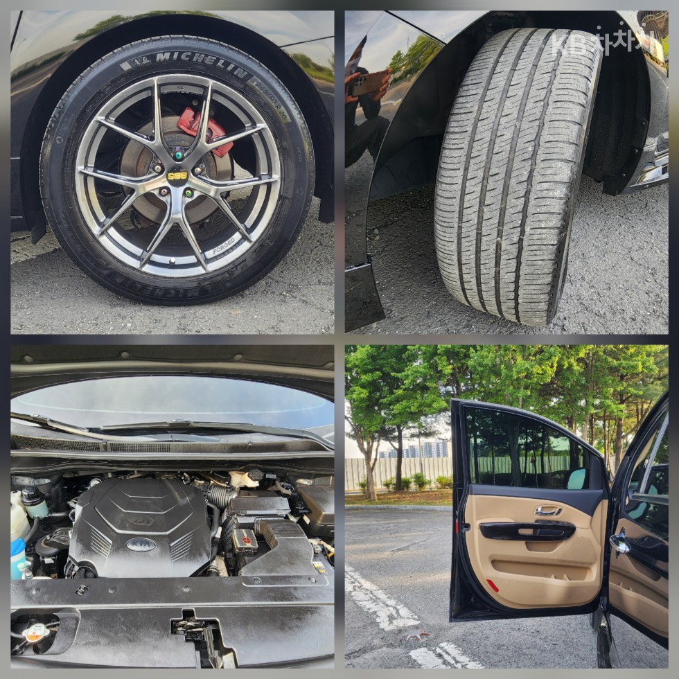 2019 - kia carnival
