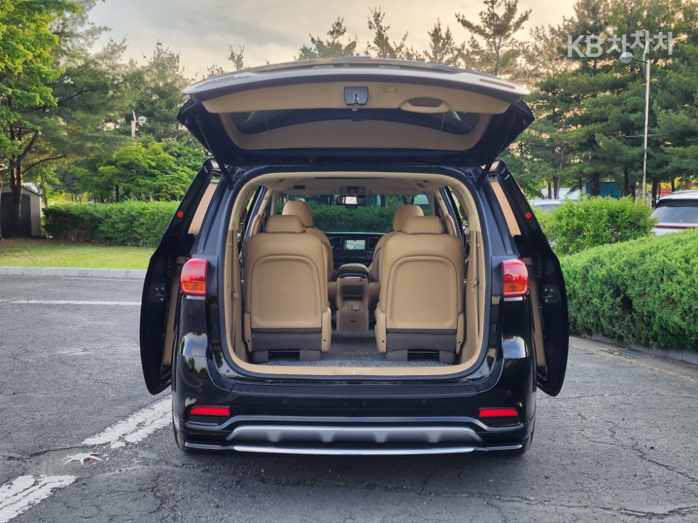 2019 - kia carnival