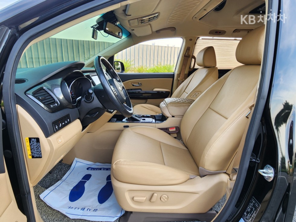 2019 - kia carnival