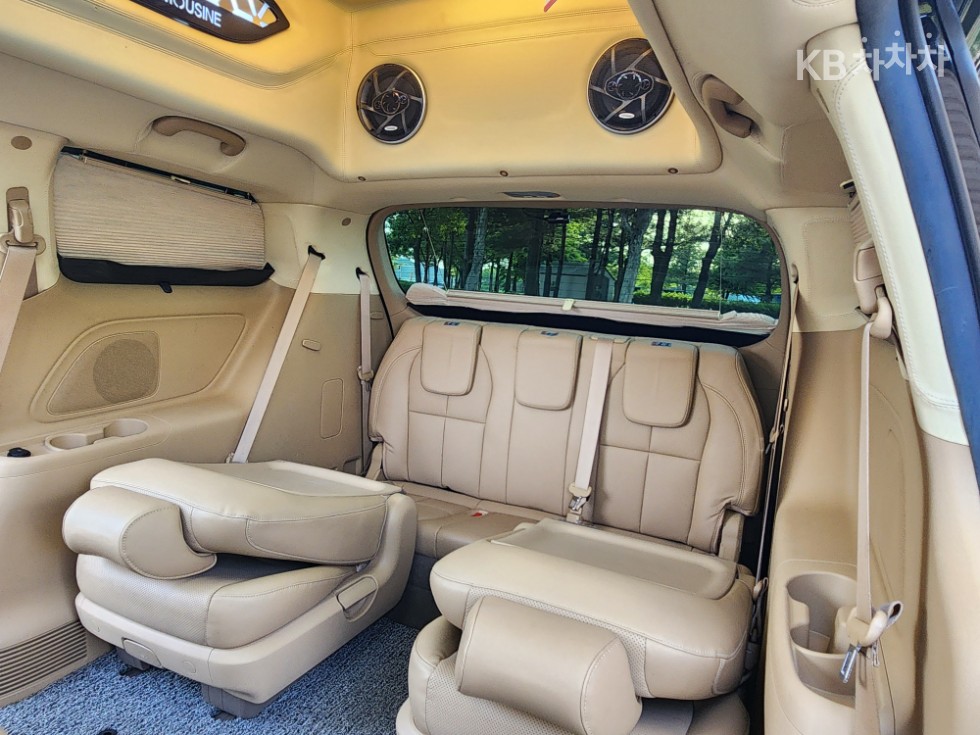 2019 - kia carnival