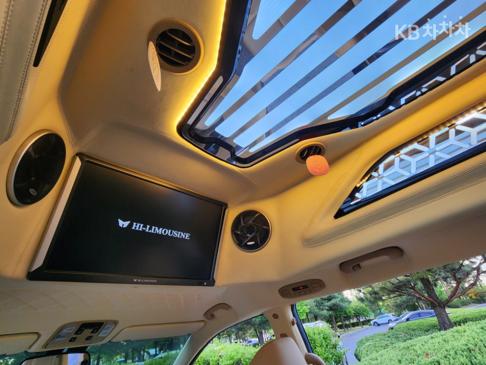 2019 - kia carnival