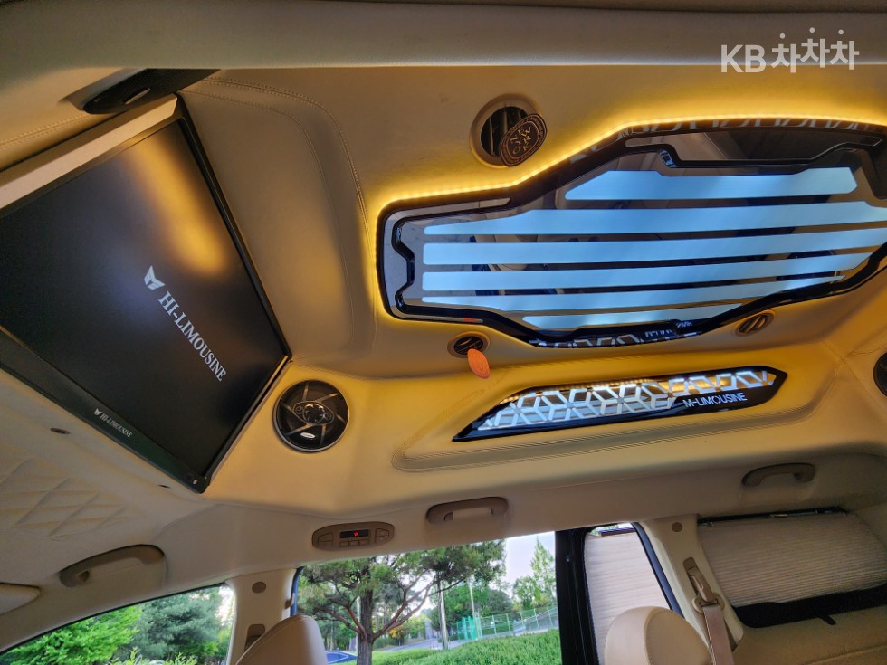 2019 - kia carnival