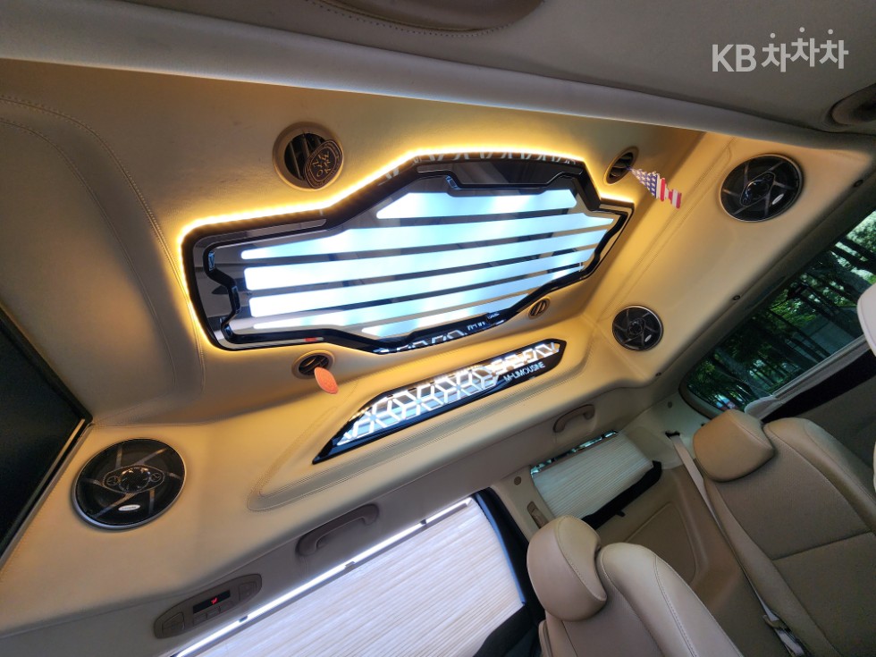 2019 - kia carnival