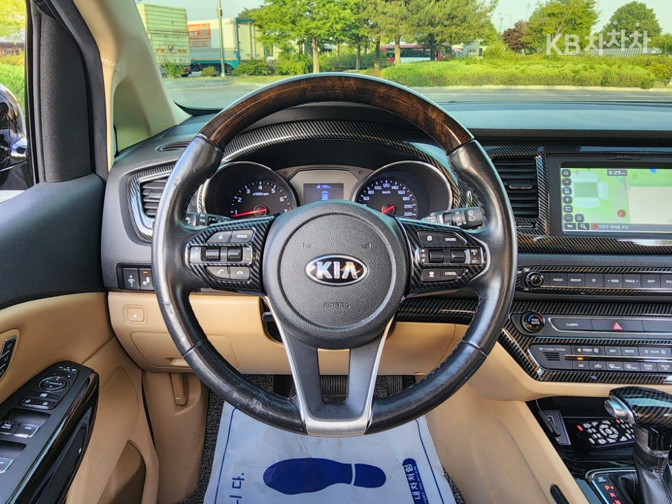 2019 - kia carnival