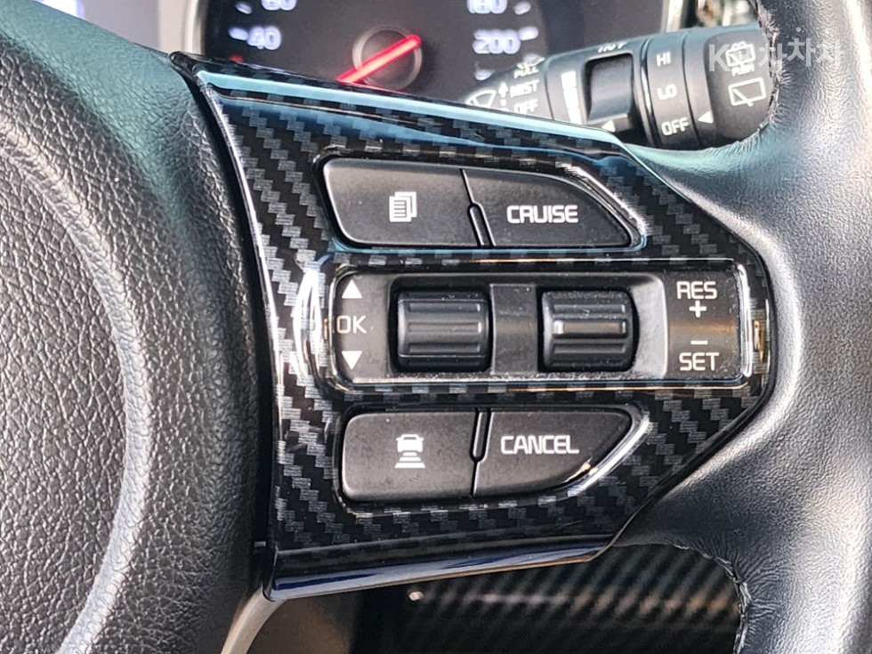 2019 - kia carnival