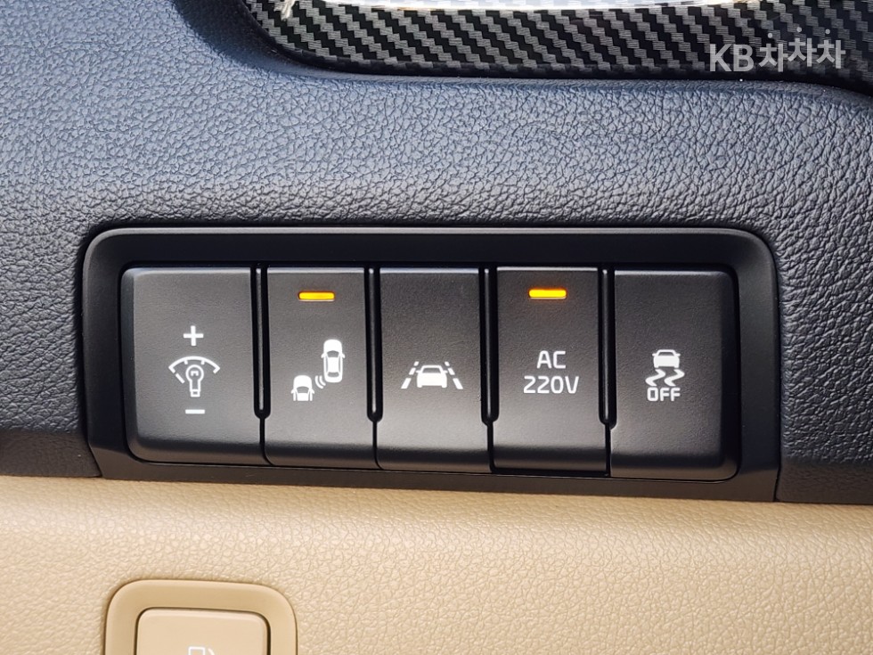 2019 - kia carnival