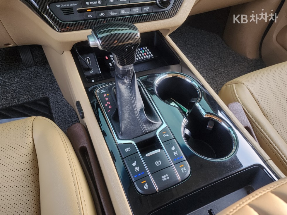 2019 - kia carnival