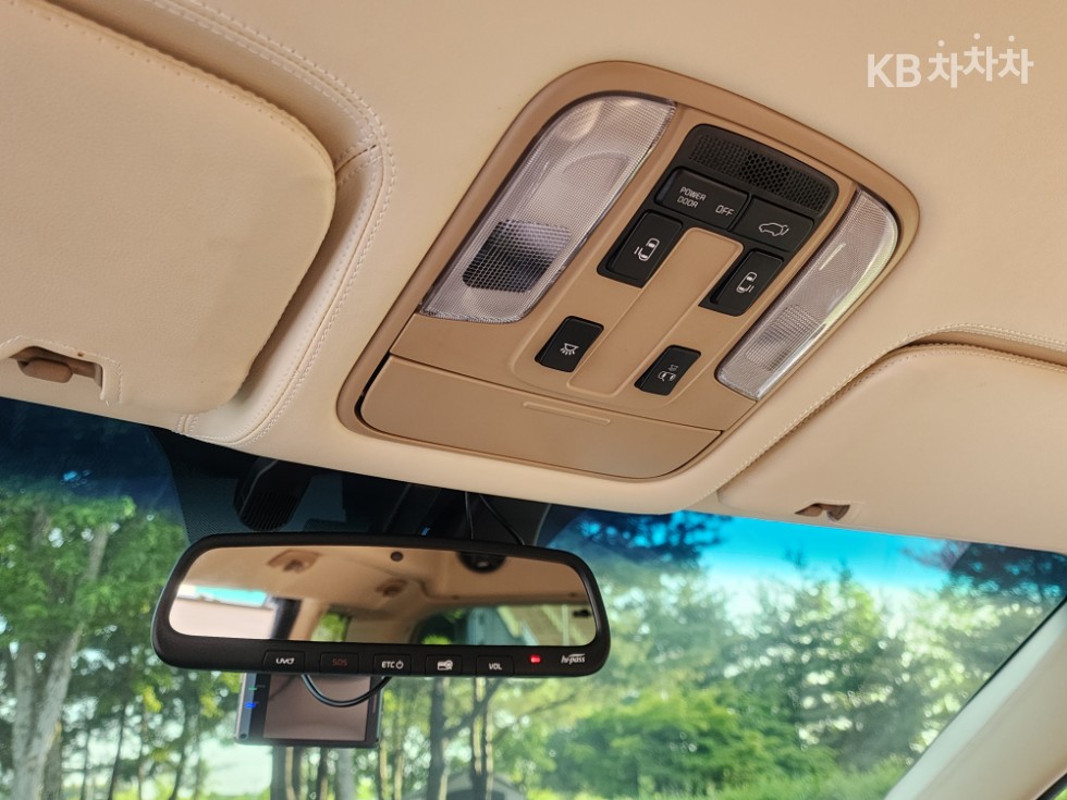 2019 - kia carnival