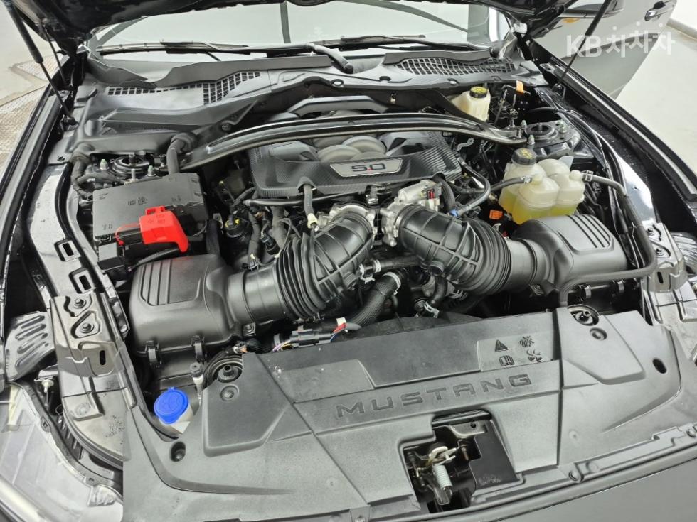 2024 Ford Used Car photo