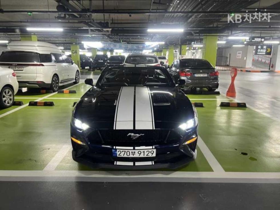 2019 Used Car — Korean used car export from SH GLOBAL