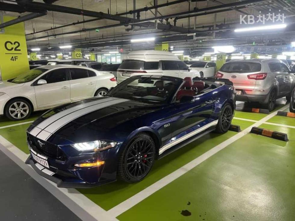 2019 Ford Used Car photo