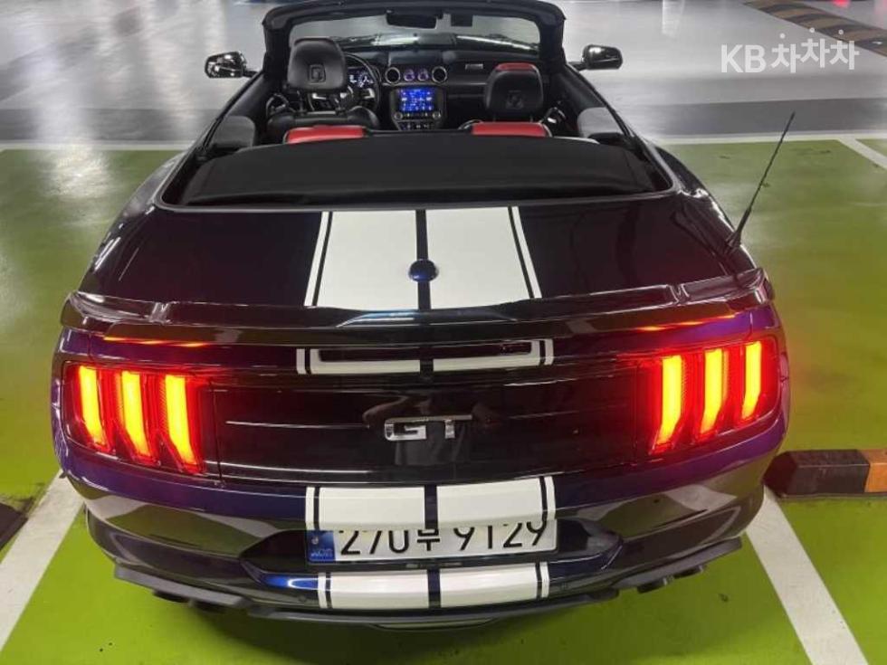 2019 Ford Used Car photo