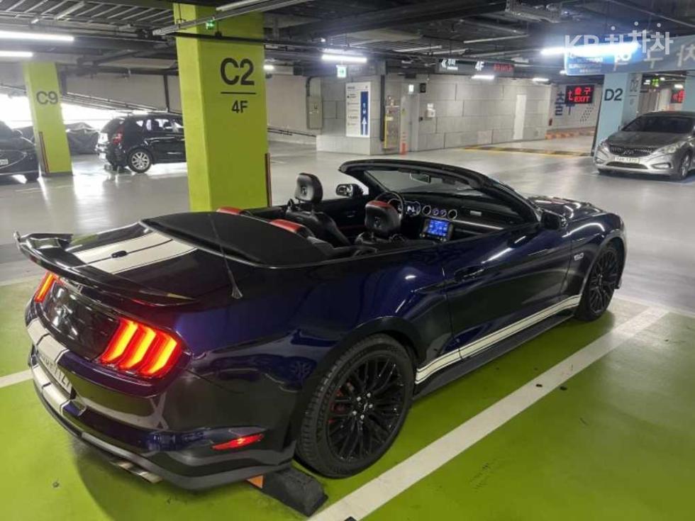 2019 Ford Used Car photo