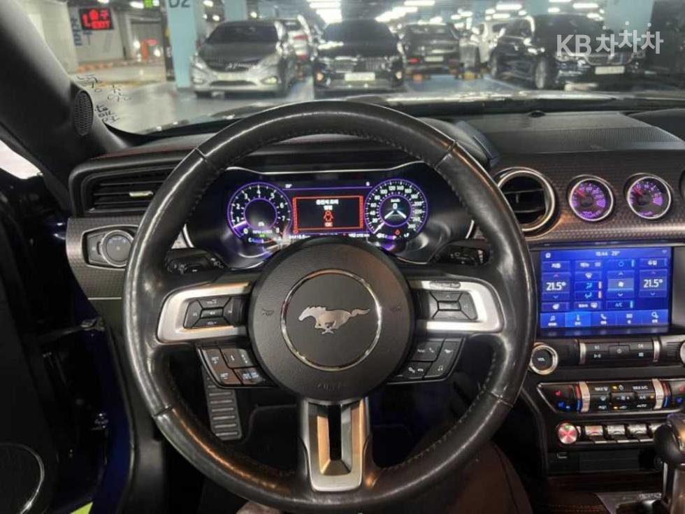 2019 Ford Used Car photo