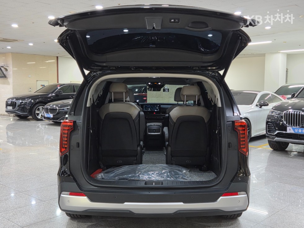 2025 - kia carnival