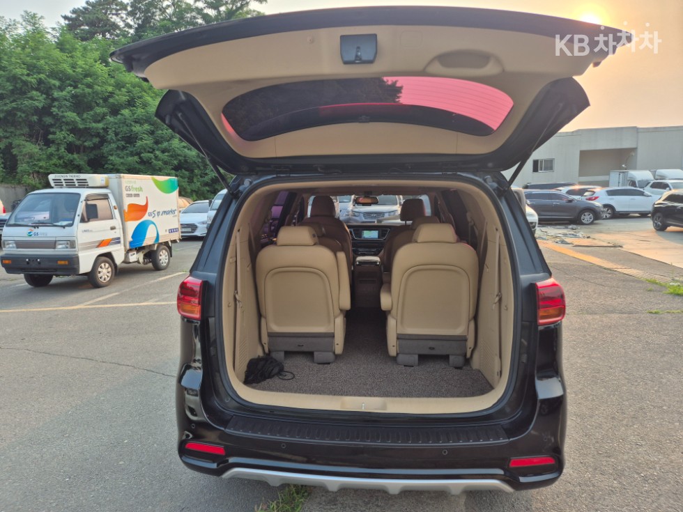 2019 - kia carnival