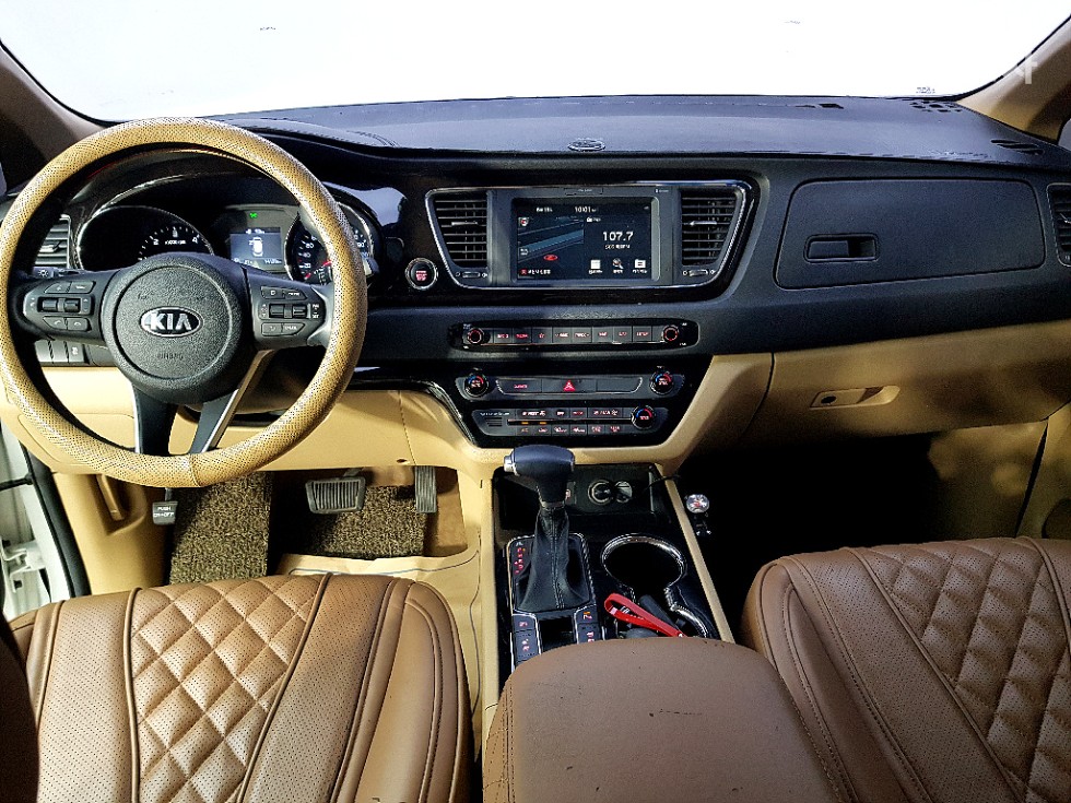 2019 - kia carnival