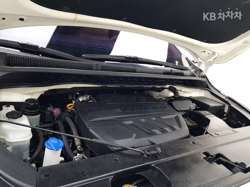 2019 - kia carnival