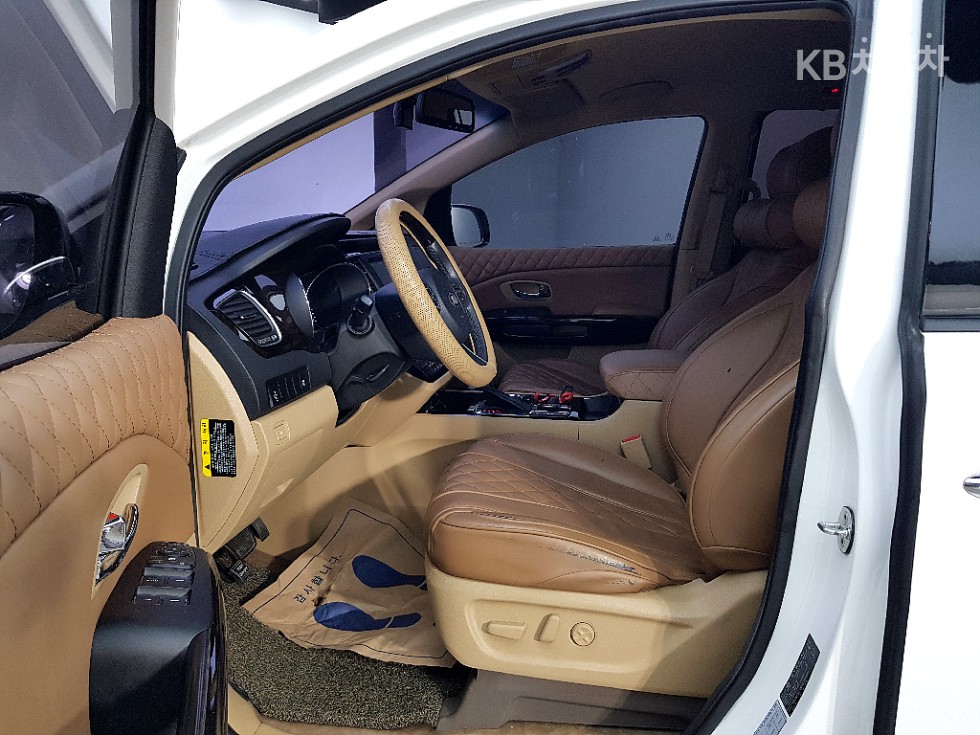 2019 - kia carnival
